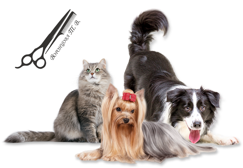 slide-img-home.png