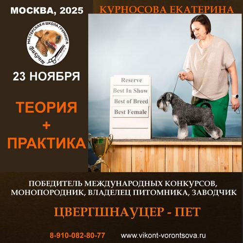 WhatsApp Image 2025 11 14 at 10.33.48