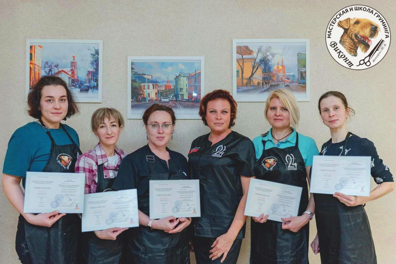 Обучение грумингу Мастерская и Школа Груминга «ВИКОНТ»