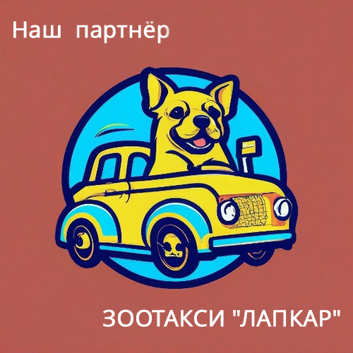 Наш партнёр - ЗООТАКСИ "ЛАПКАР"