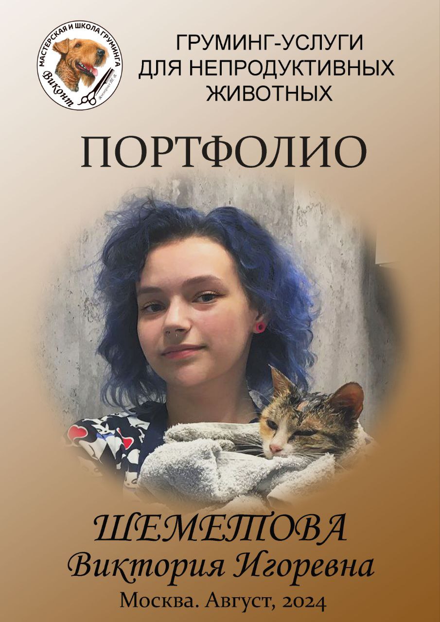 Шеметова Виктория Игоревна