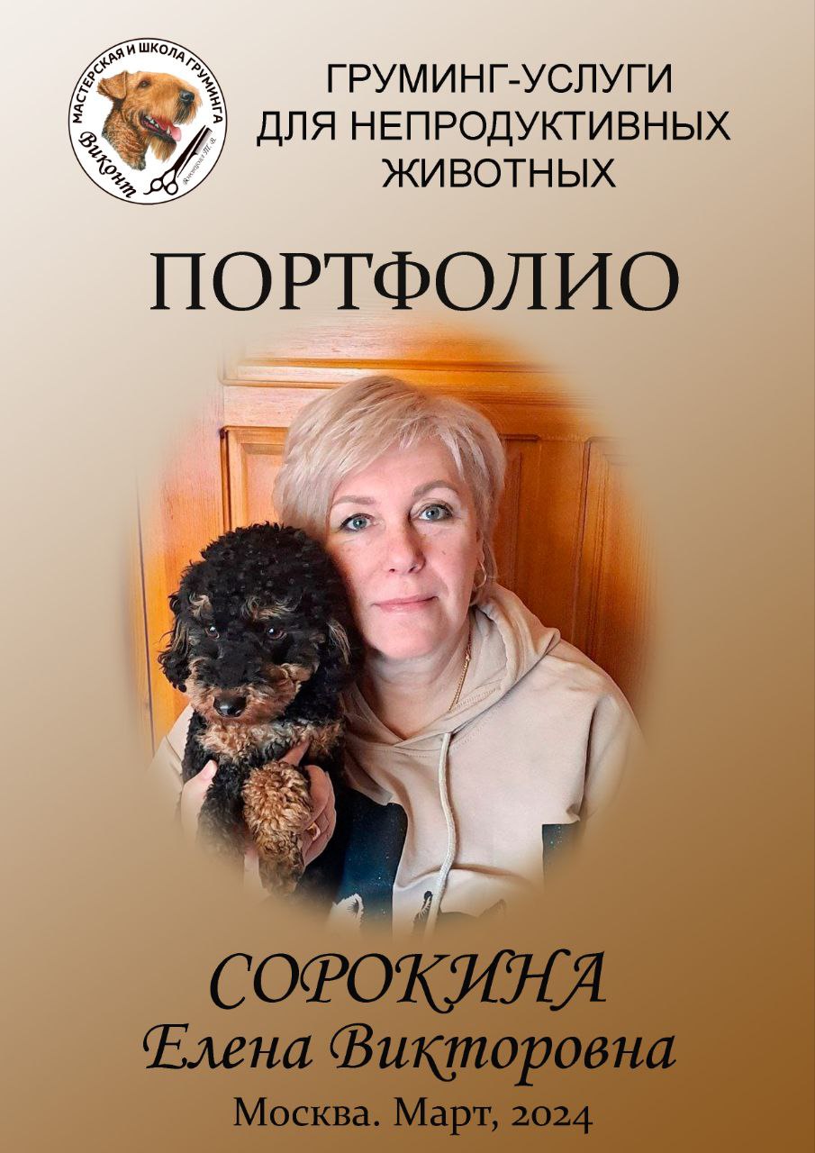 Сорокина Елена Викторовна