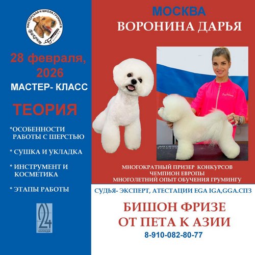 «ПЕТ-БИШОН»
