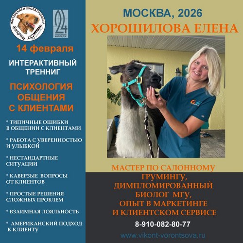 Интерактивный тренинг для грумеров